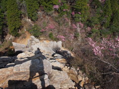 中道登山道　キレットから・・・