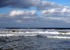 冬の海