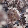 私のこともみて。