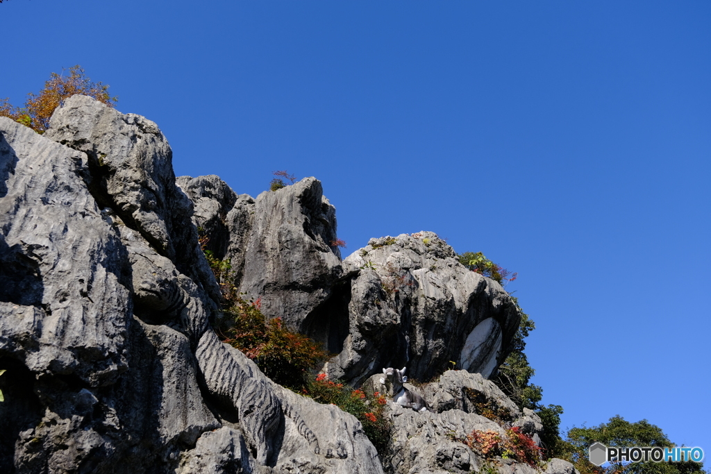 金生山明星輪寺　動物が隠れています。