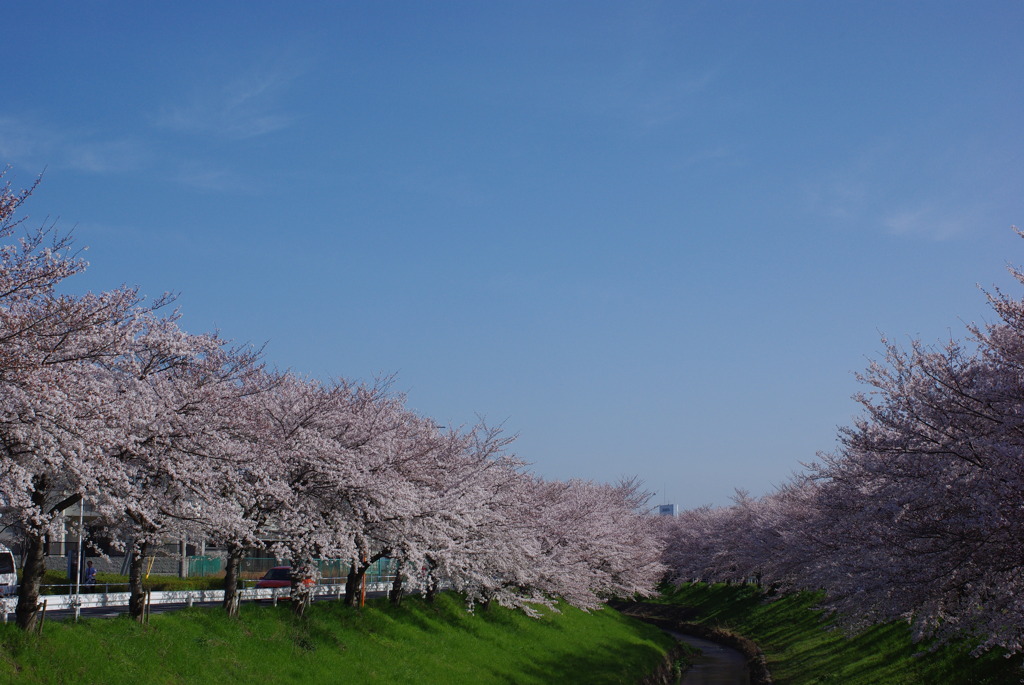 春の空