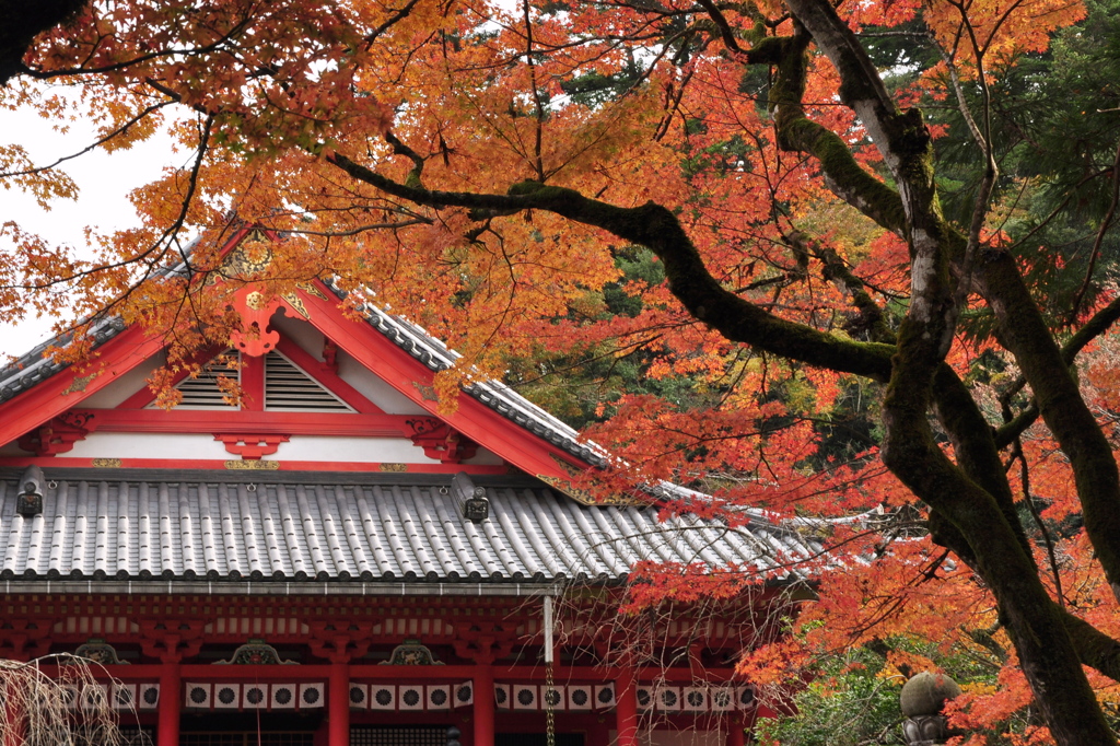 金堂華王殿@那谷寺