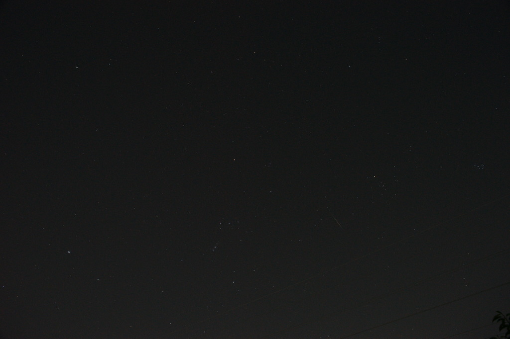 捉えた、オリオン座流星群