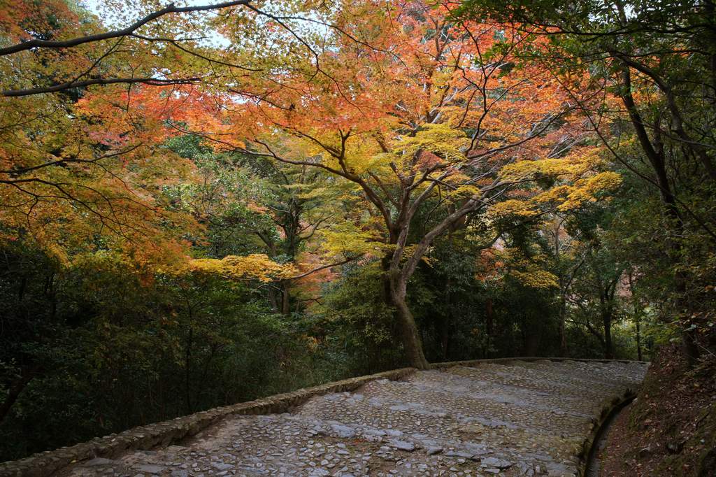 嵐山公園 - 一瞬の静寂
