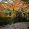 嵐山公園 - 一瞬の静寂
