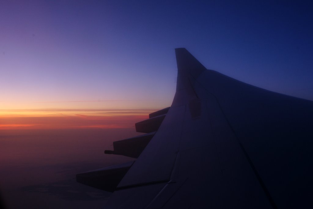高度11,000メートルの夕焼け