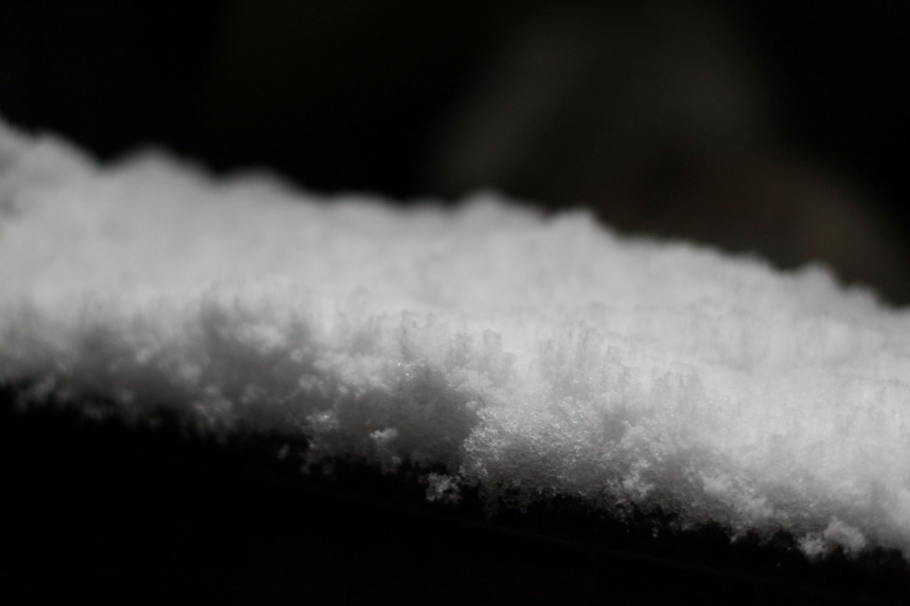 雪、積もりました