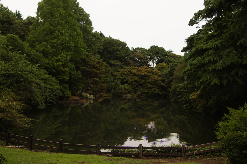 庭園　新宿御苑