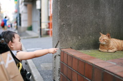 未知との遭遇