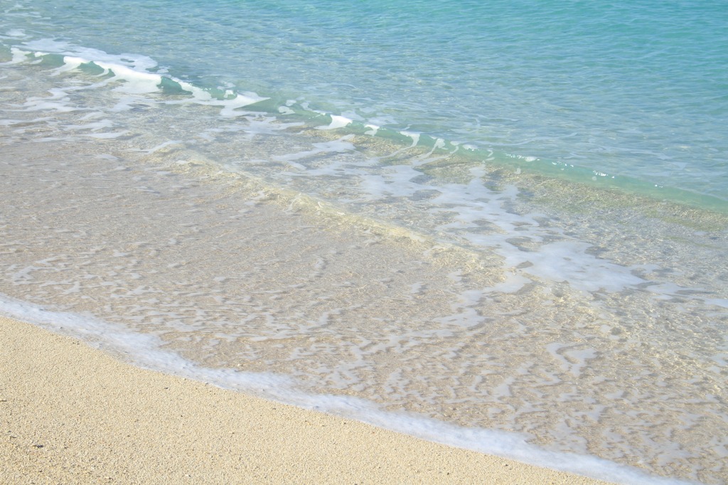 砂浜