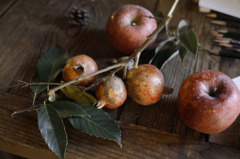 fruits