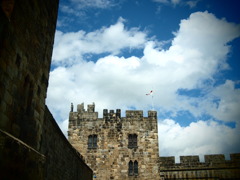 alnwick castle 2