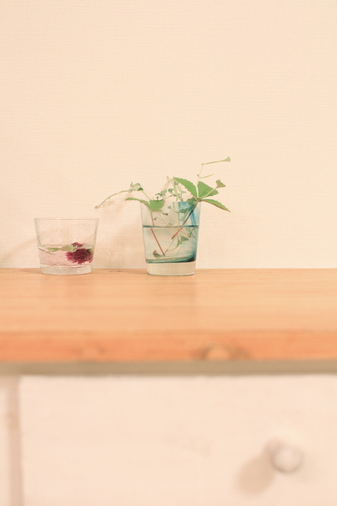 glass