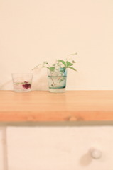 glass