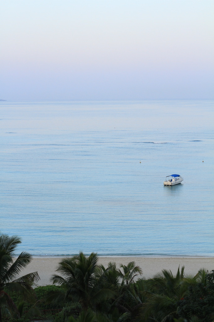 海