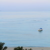 海