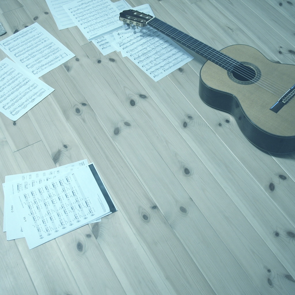 gut guitar