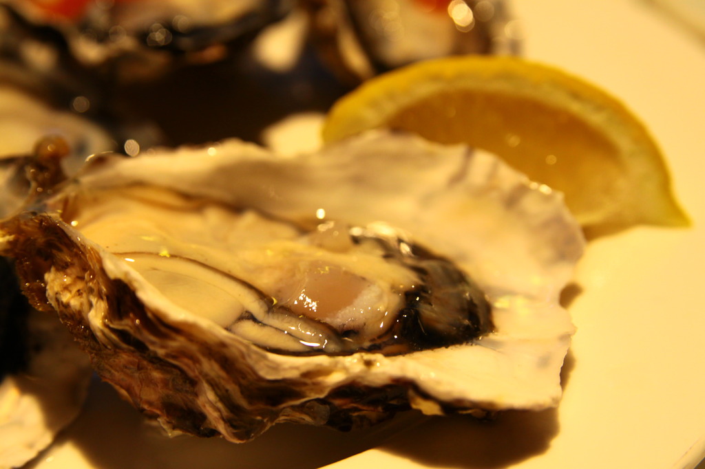 oyster