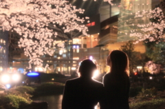 都心でのひと時