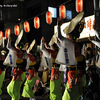 神楽坂まつり　阿波踊り