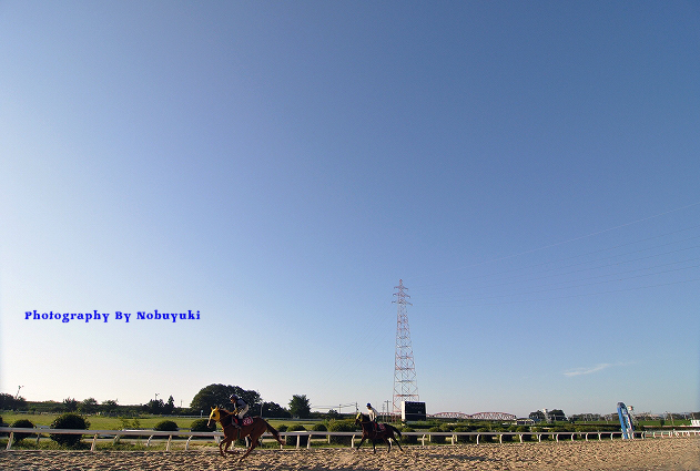 笠松競馬の独り占め