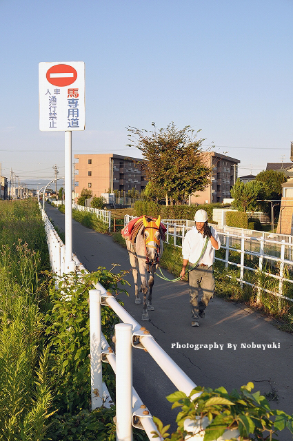 馬専用道