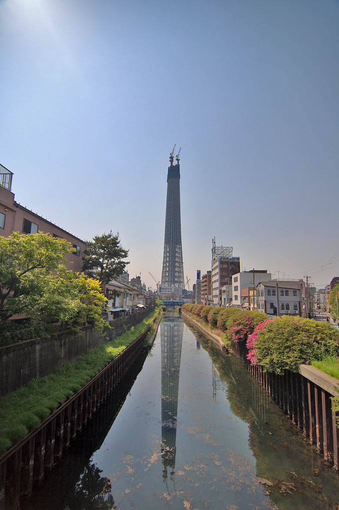 Reverted Image Of Tokyo Sky Tree