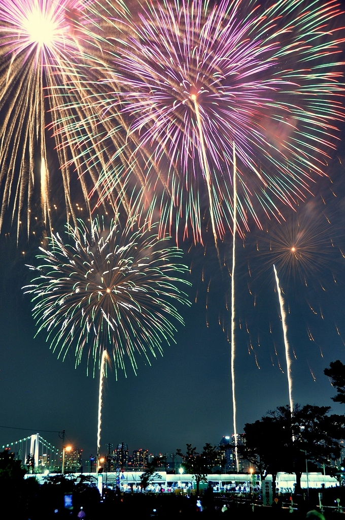  東京湾大華火祭2010