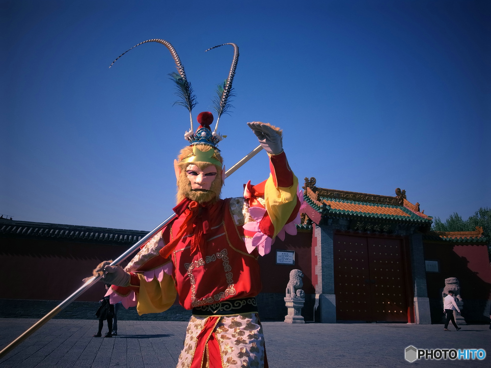 孫悟空さん　(=^▽^=)