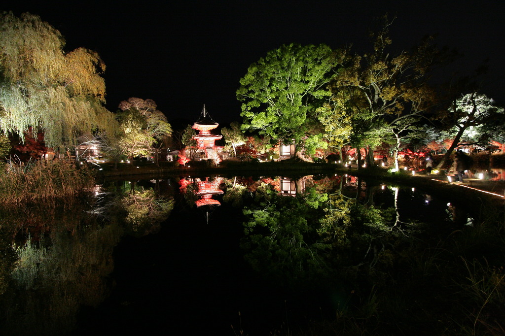 京都　大覚寺