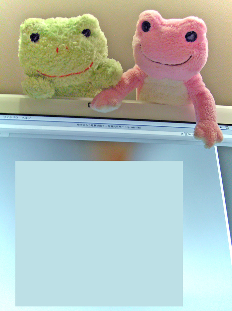 （仮）きゃ〜こっち向いて〜！