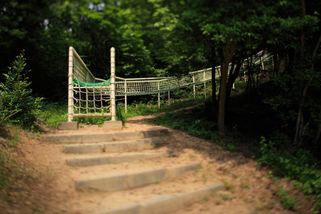登り口