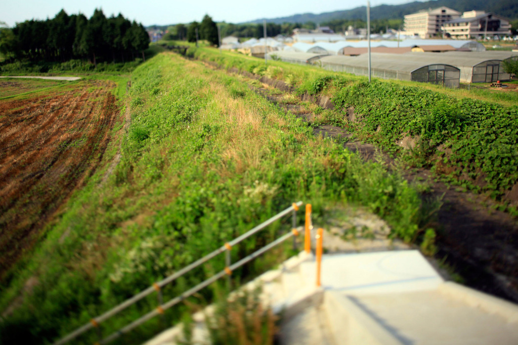 天井川