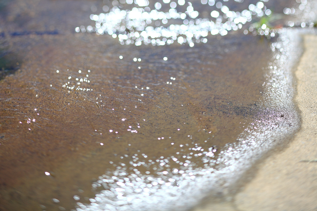 水際