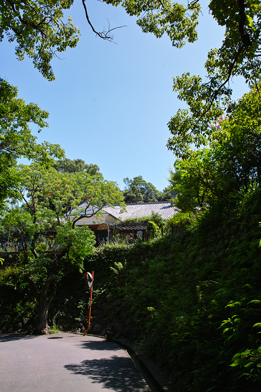 夏・長崎