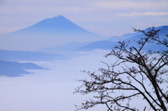 fuji san