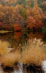 lake 19
