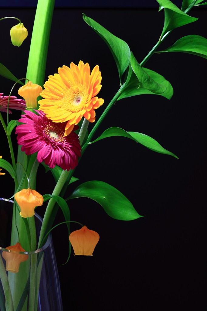 flores