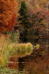 lake 17