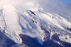 fly  - fuji san