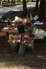 passeio park novo 092