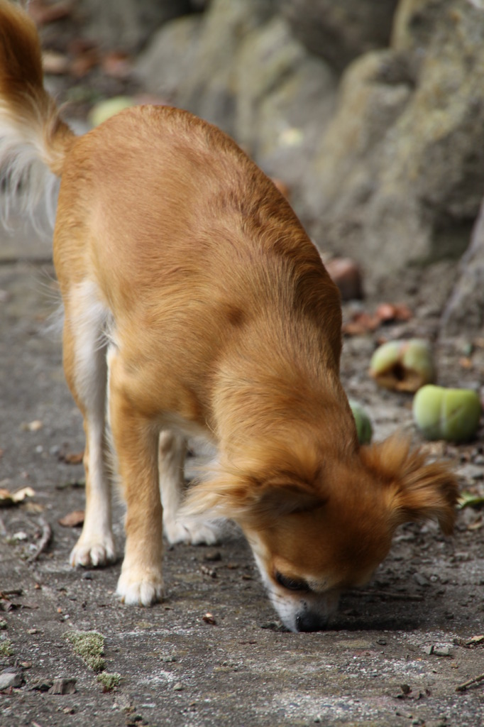 passeio +----9999 033