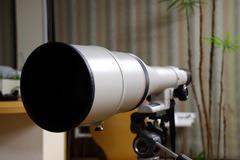 canon 800 mm sugoiiiiiiiii