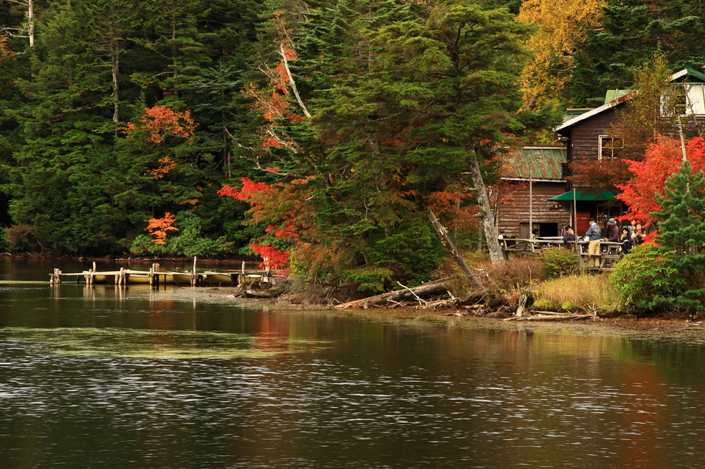 Shirokoma-ike  白駒池 koyo 2010-1