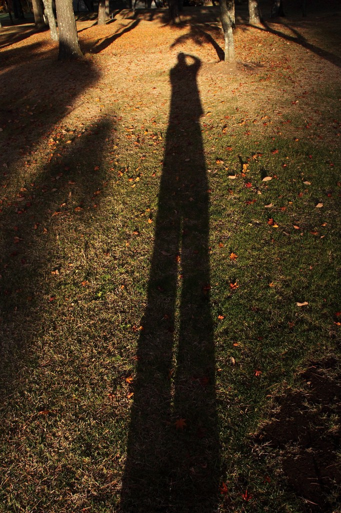 sombra1
