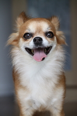 smile