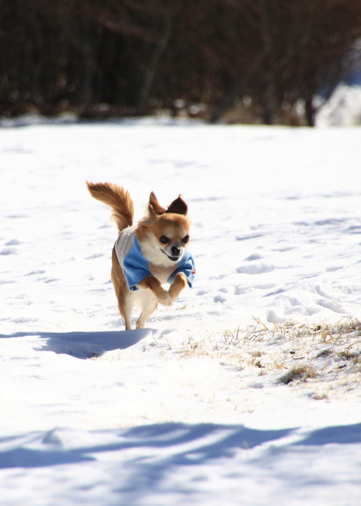 nami chan  yukideasobi-3