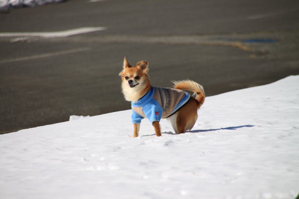 nami chan  yukideasobi-2