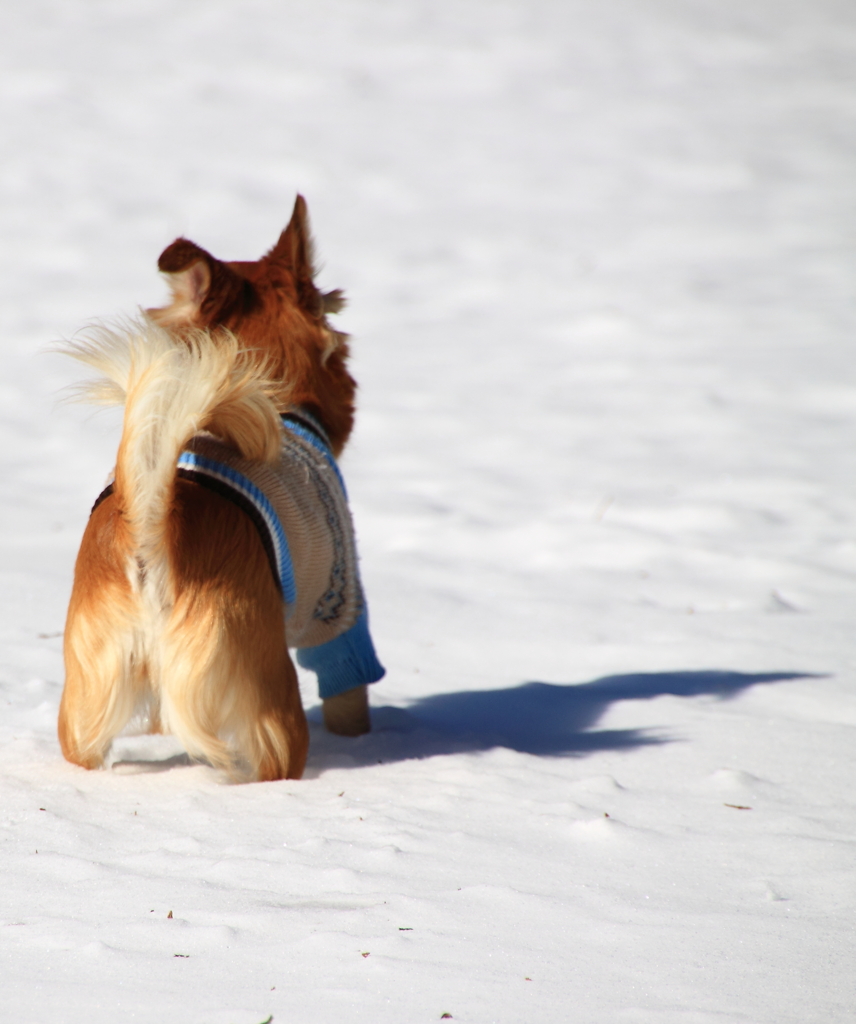 nami chan  yukideasobi-4