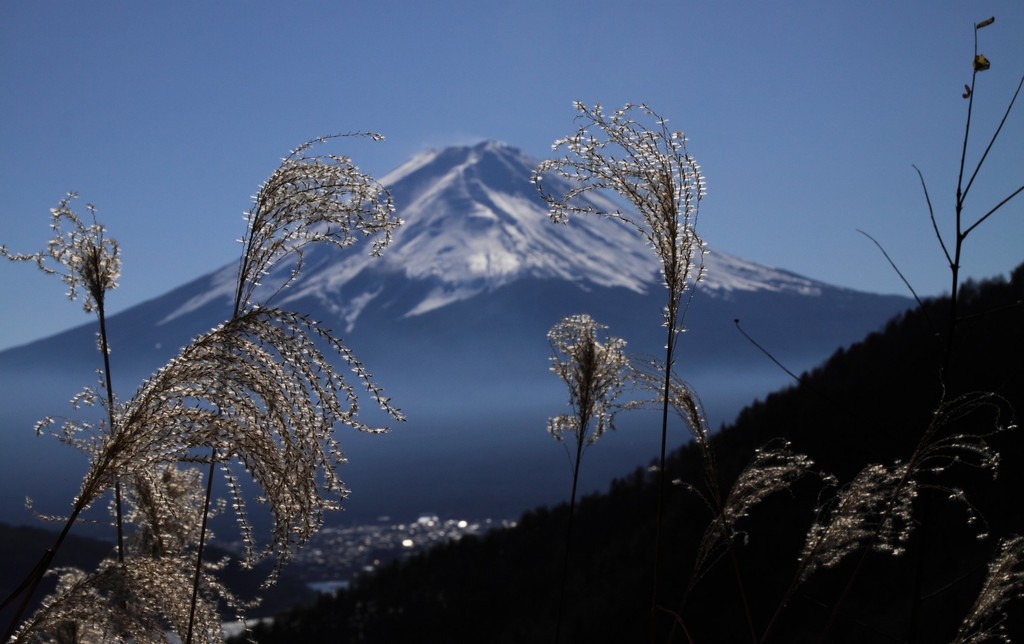 fuji san